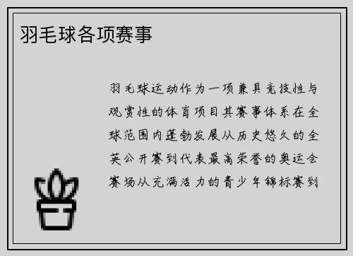 羽毛球各项赛事